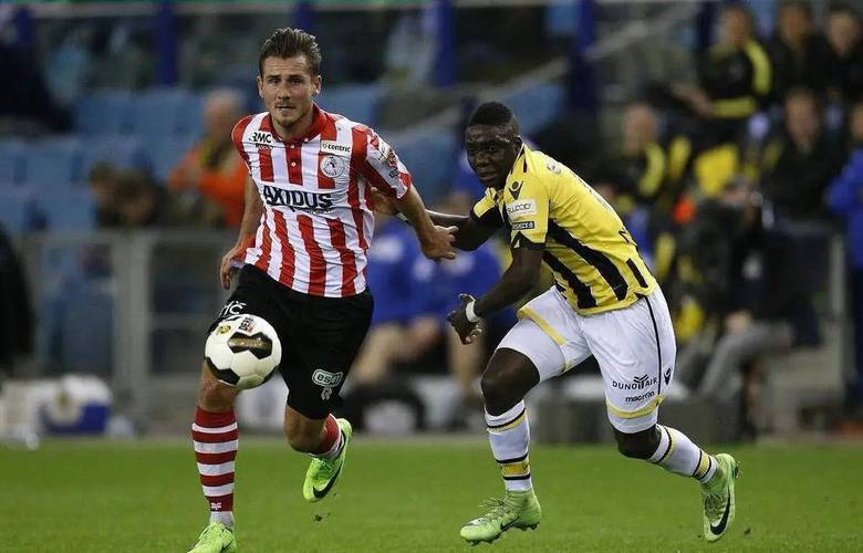 专业和热情 专业和热情