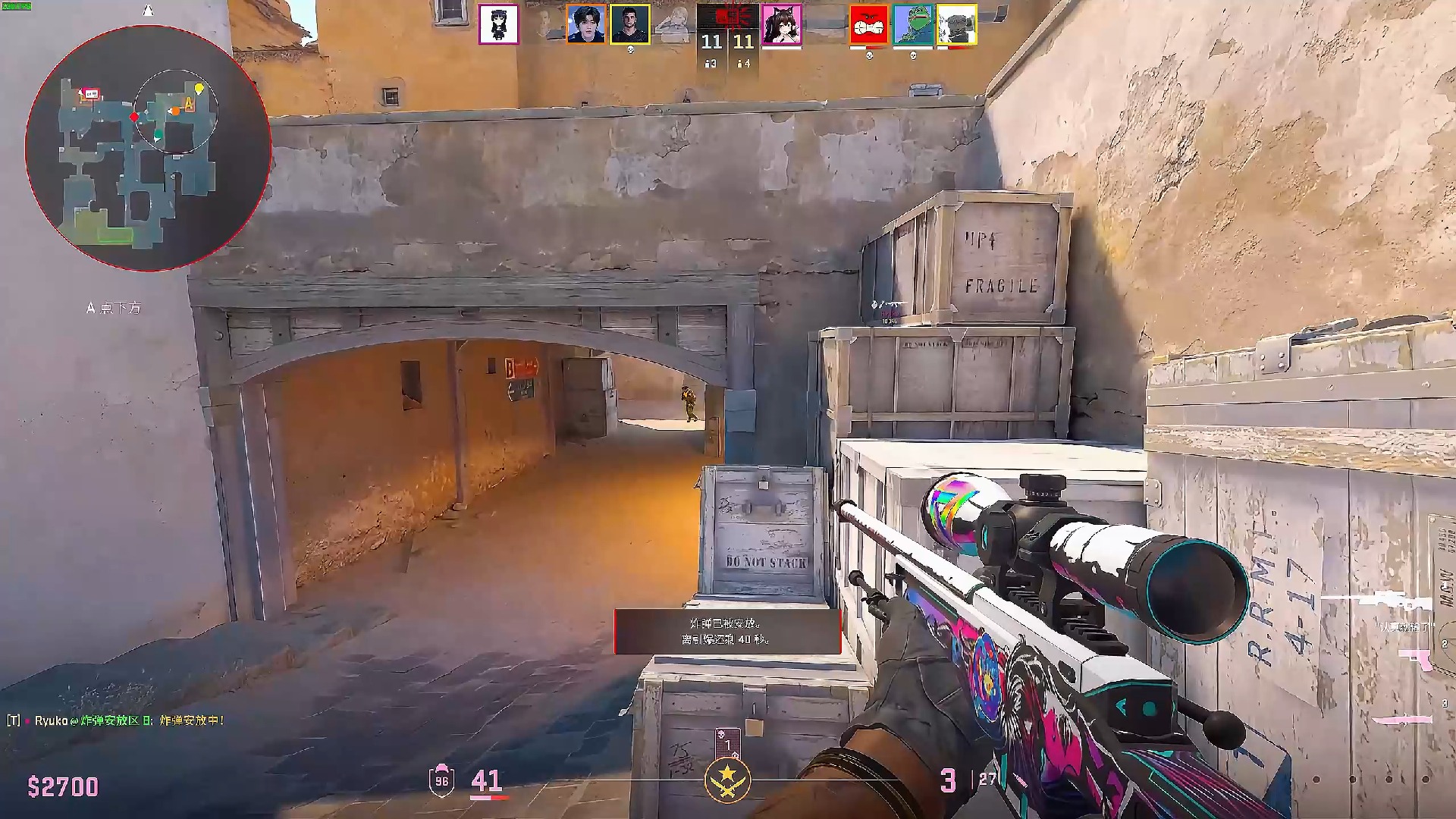 专业和热情 专业和热情