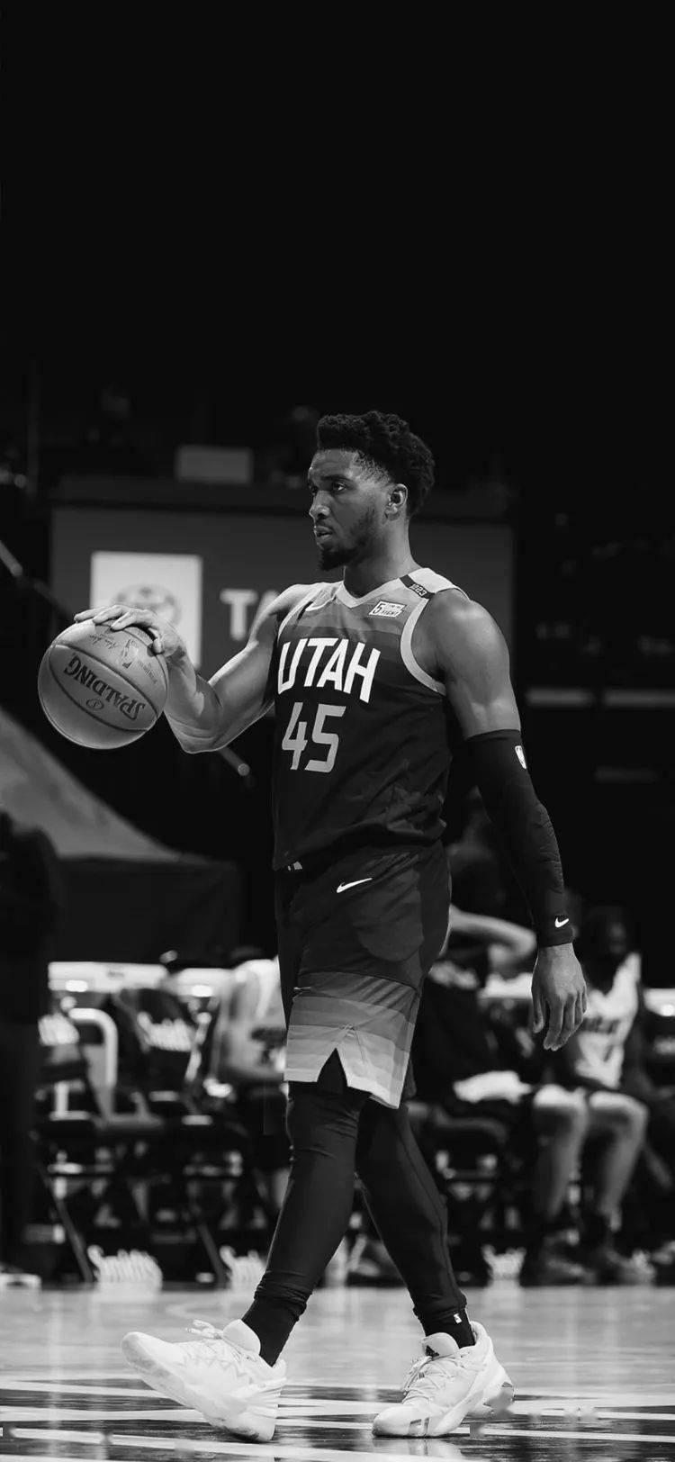 的分水岭 的分水岭