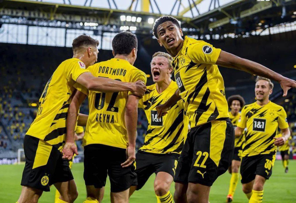 尼特转会至 尼特转会至