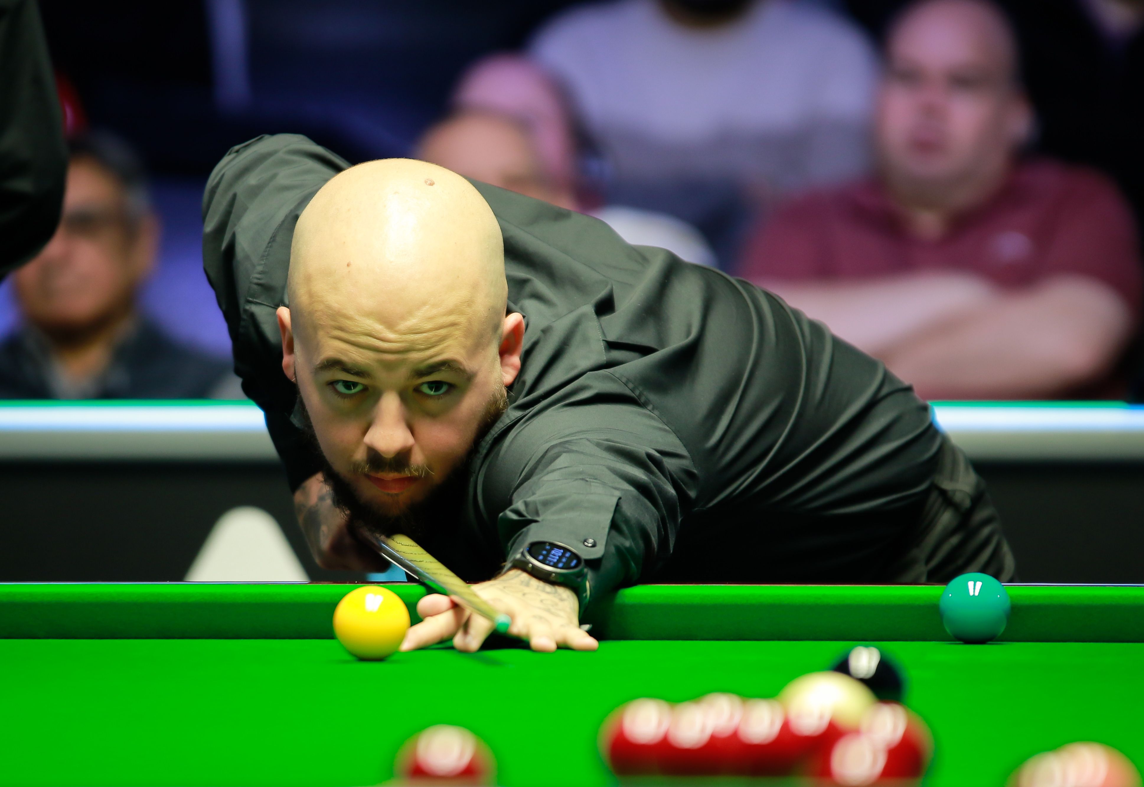 成都蓉城的 成都蓉城的